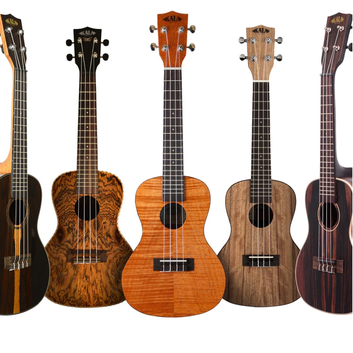 Best Ukuleles in Qatar Badie Studio & Stores