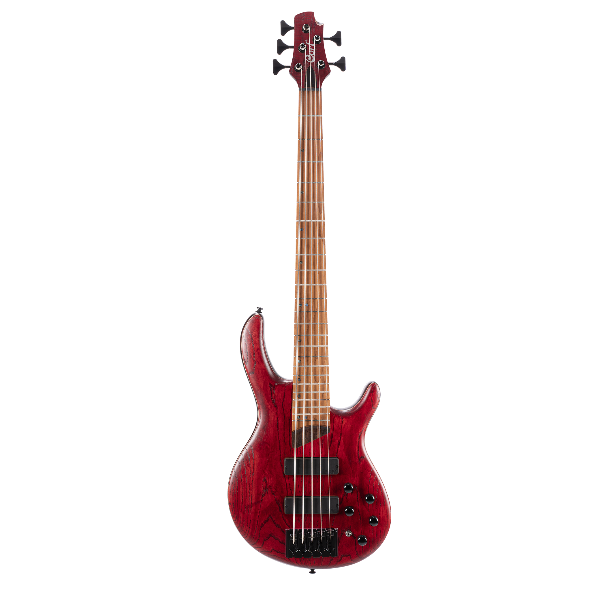 Cort fretless deals bass 5 string