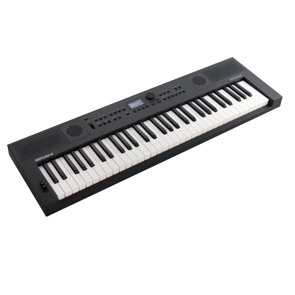Roland GOKEYS5-GT 61-key with 128-voice Polyphony, 554 Tones Music Creation Keyboard - Graphite