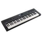 Roland GOKEYS5-GT 61-key with 128-voice Polyphony, 554 Tones Music Creation Keyboard - Graphite