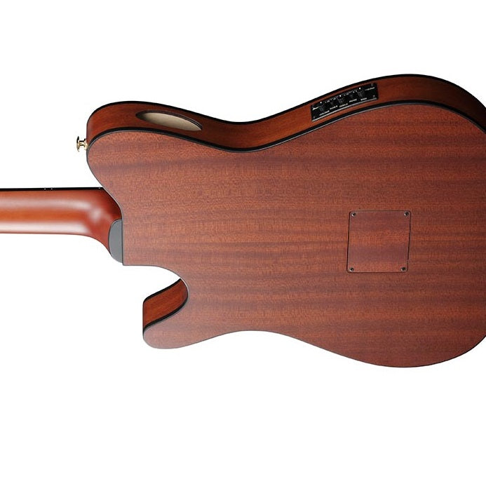 Ibanez FRH10N - NTF Thinline Full Size Classical Electro Acoustic Guitar - Natural Flat