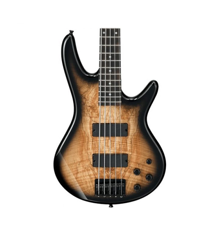 Ibanez Gio Series GSR205SM-NGT Gio 5-String Electric Bass Guitar Natural Gray Burst