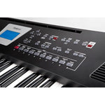 Roland BK-3 61-Key Backing Keyboard (Black)