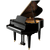 Piano & Keyboard