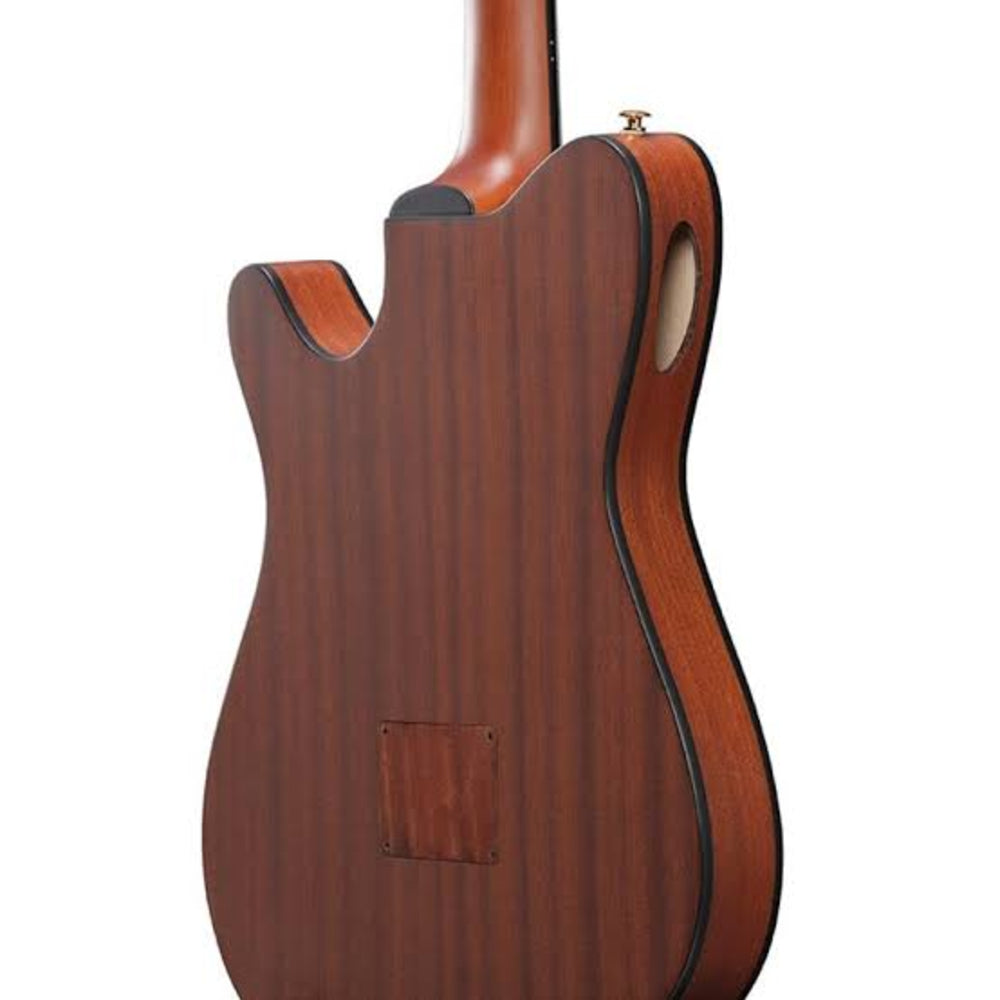 Ibanez FRH10N - NTF Full Size Classical Electro Acoustic Guitar - Natural Flat