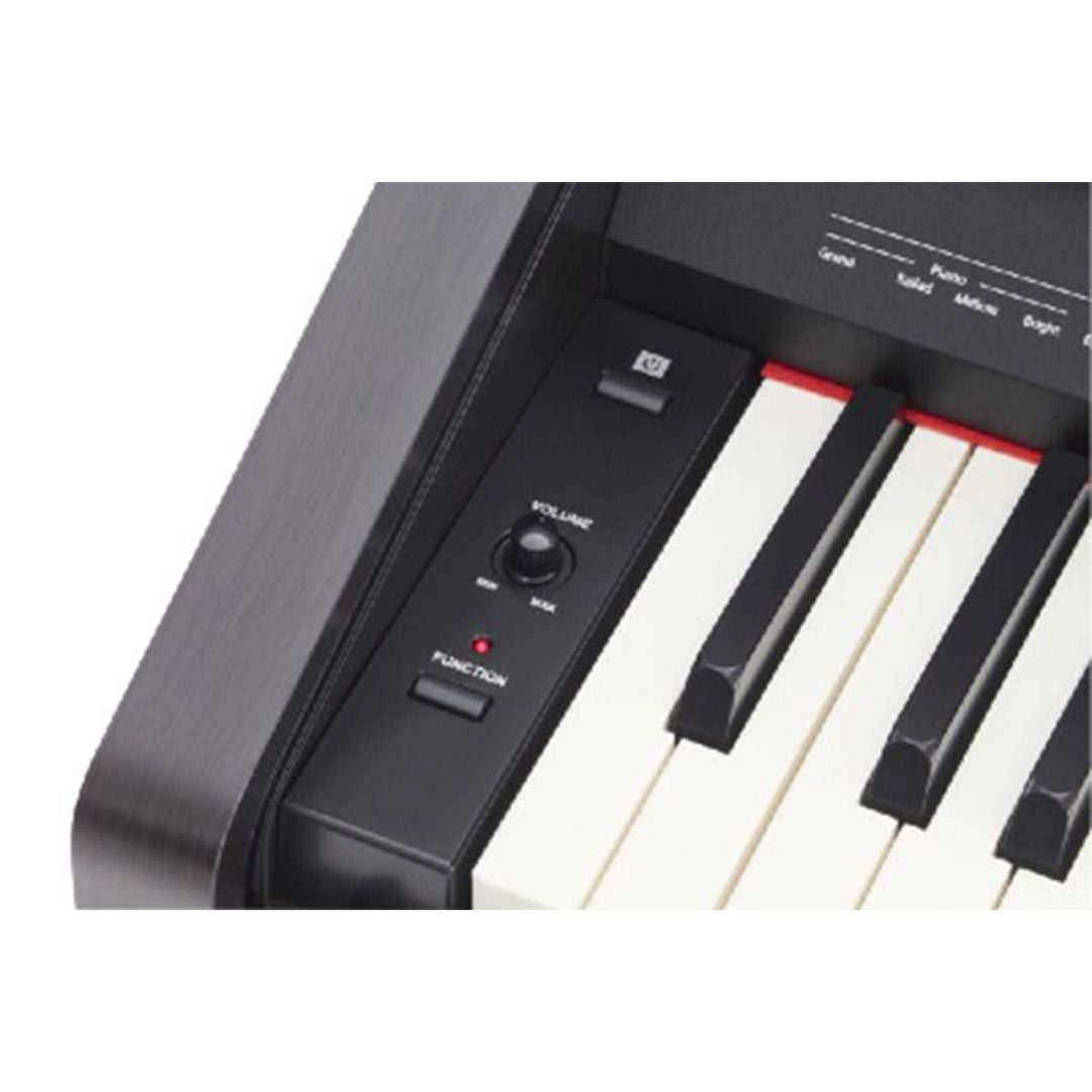 Roland RP30 88-Key Digital Piano (Dark Rosewood)